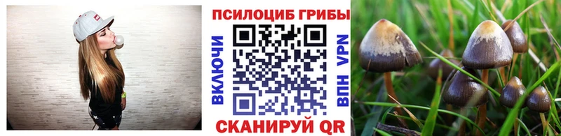 Галлюциногенные грибы Psilocybe  omg ссылки  Невьянск  цена наркотик 